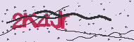 Captcha認証コード